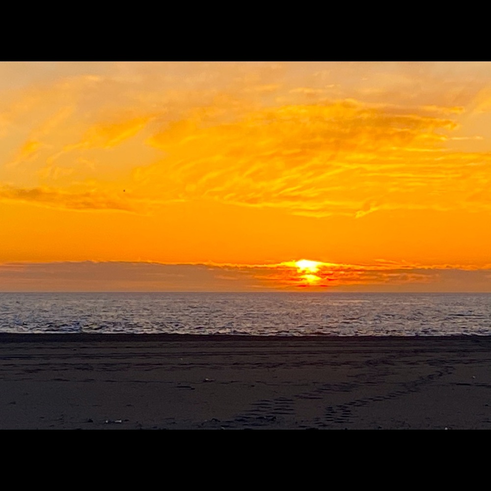 Meet your Posher, Miko